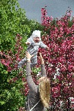 Угрешский монастырь  (12)
